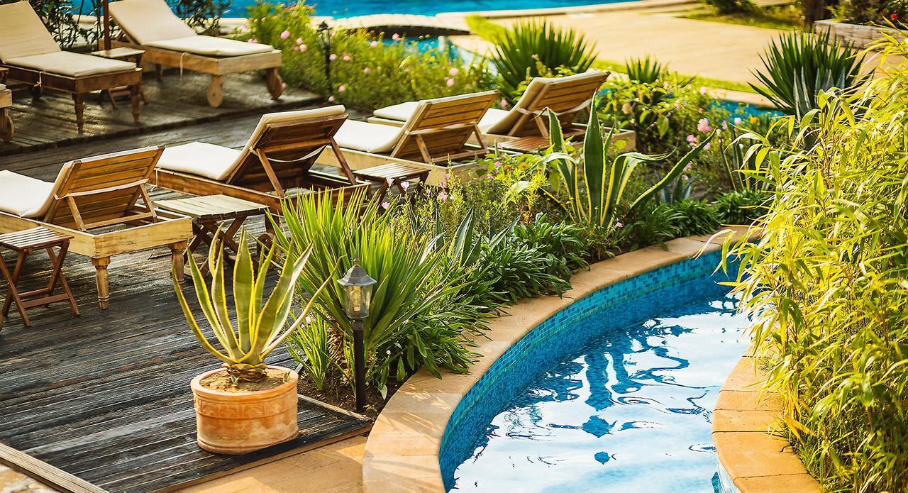 אובזור The Cliff Beach Apartments מראה חיצוני תמונה